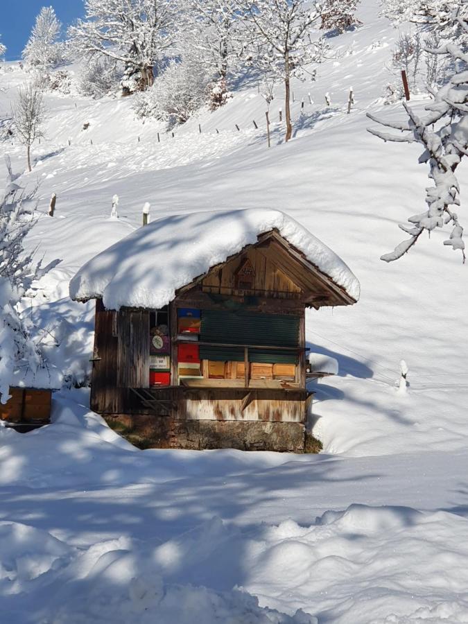 شقة Haus Am Eckle Kleines Wiesental المظهر الخارجي الصورة